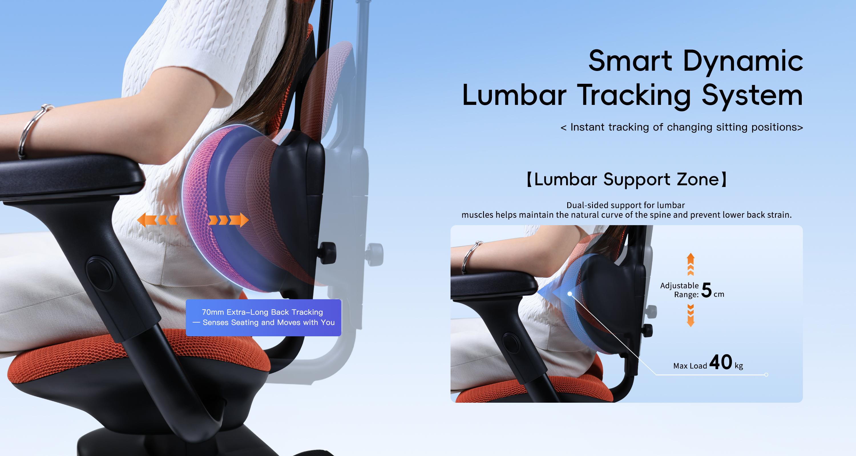 Smart Vibration Lumbar Chair SIT-10